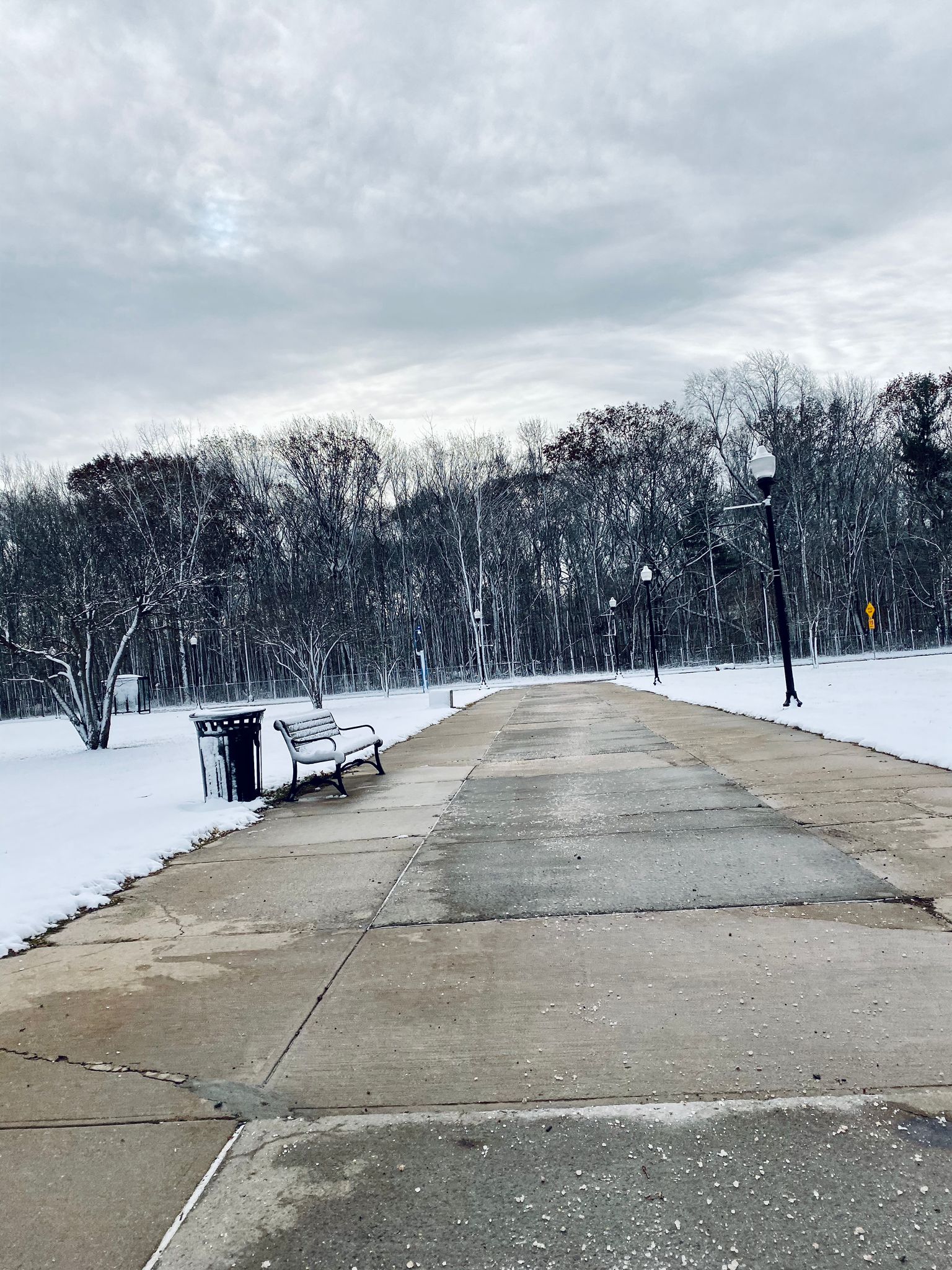 Snow in College of Staten Island
